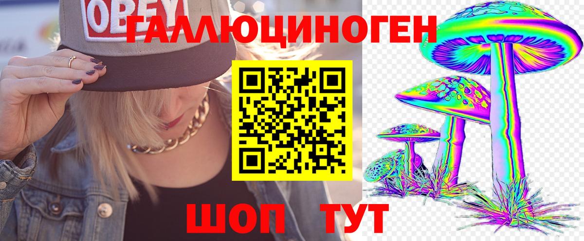 Галлюциногенные грибы Psilocybine cubensis  Псилоцибиновые грибы ЛСД  Вход с VPN  Мирный 